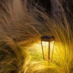 A garden path light illuminates tall ornamental grass in front of a wooden fence at dusk.