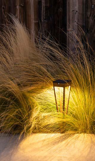 A garden path light illuminates tall ornamental grass in front of a wooden fence at dusk.